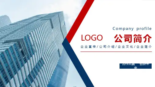 中外合资公司简介ppt