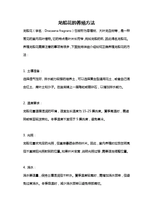 龙船花的养殖方法