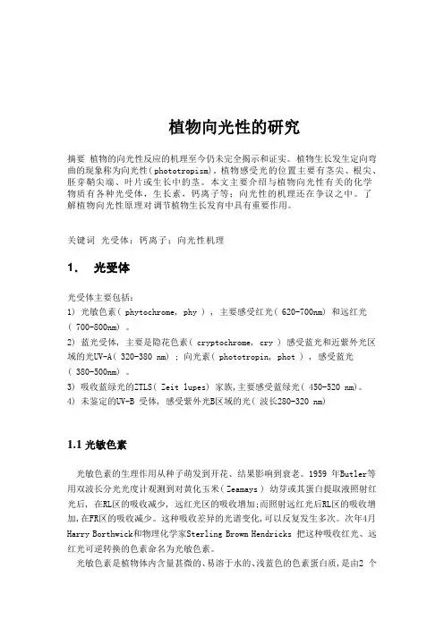 植物的向光性研究