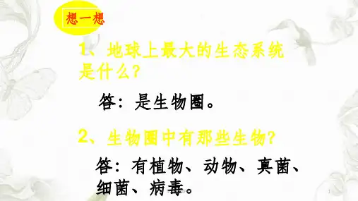 绿色开花植物的生活方式课件