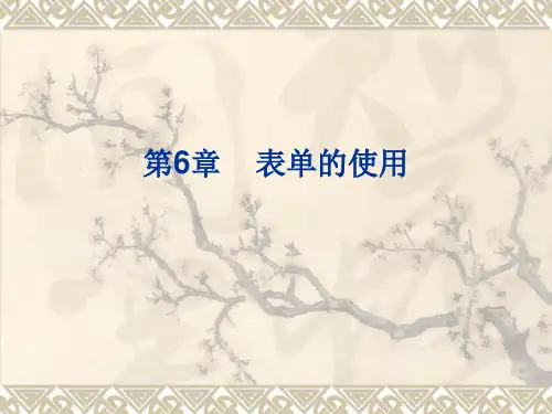 网页设计与制作第6章 表单的使用