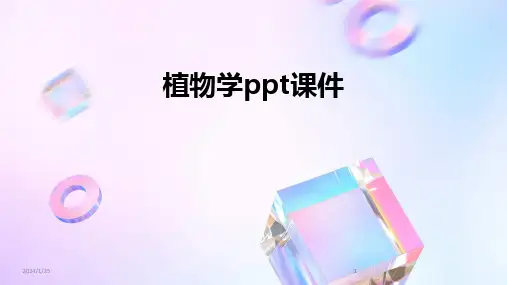 2024版植物学ppt课件