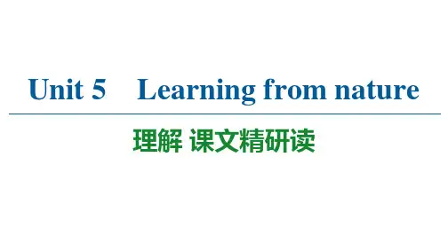 高二英语上学期外研版(2019)选择性必修第三册 Unit 5 理解 课文精研读 课件