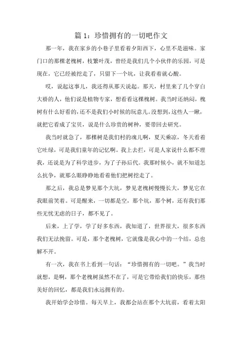 珍惜拥有的一切吧作文精选6篇