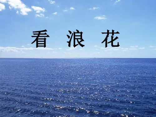 《看浪花》2PPT课件