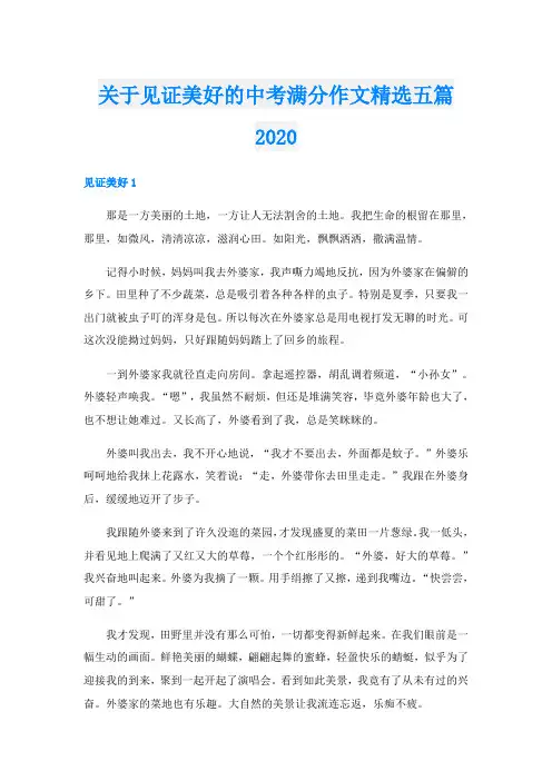 关于见证美好的中考满分作文精选五篇