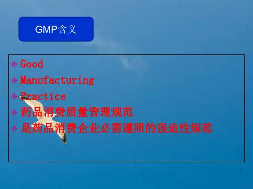 GMP基础知识培训ppt课件