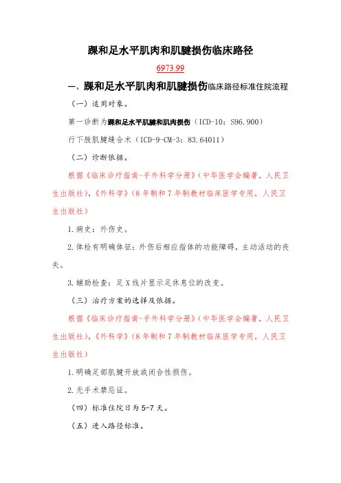 踝和足水平肌肉和肌腱损伤(徐州)