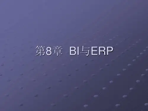 (SAP_ERP)第8章  BI与ERP
