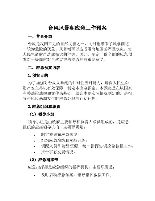 台风风暴潮应急工作预案 