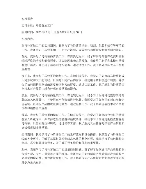 马铃薯加工实习报告