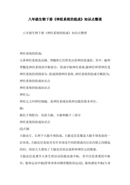 八年级生物下册《神经系统的组成》知识点整理