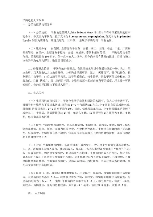 平胸龟的人工饲养