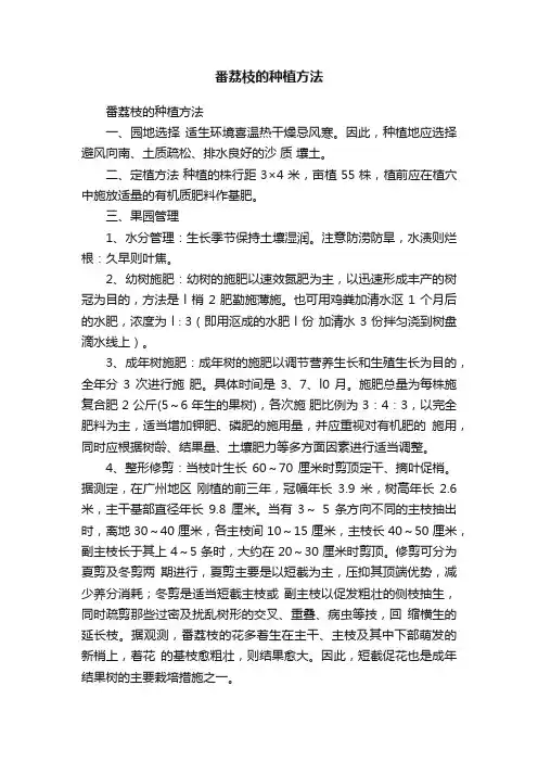 番荔枝的种植方法