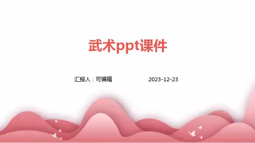 武术PPT课件