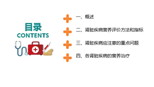 肾脏疾病的营养治疗医学类动态ppt模板