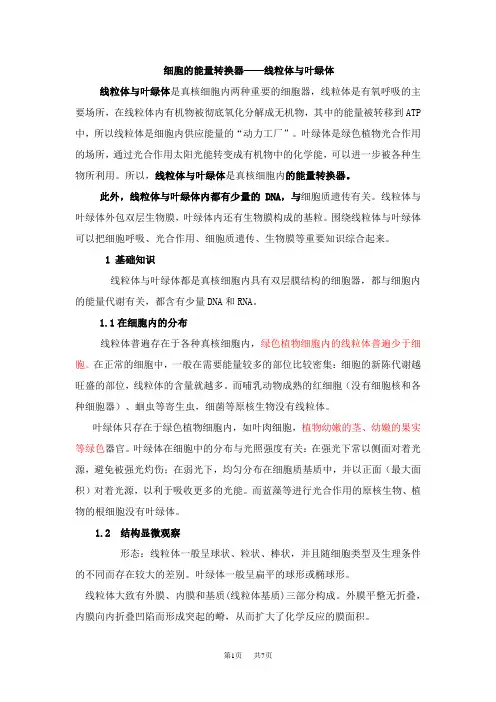 高中生物 细胞的能量转换器—线粒体与叶绿体