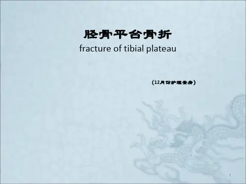 右胫骨平台骨折ppt课件