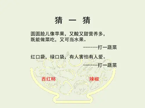 《我家的菜篮子》教学课件