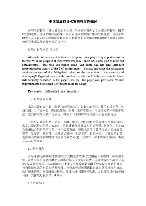 中国发展自导水雷的可行性探讨