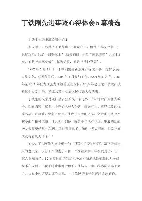 丁铁刚先进事迹心得体会5篇精选