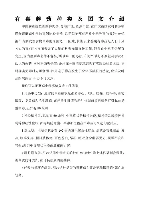 有毒蘑菇种类及图文介绍