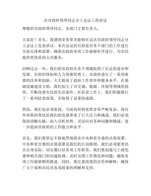 在市政府领导同志分工会议上的讲话