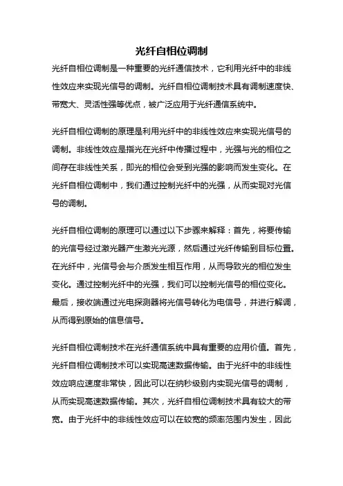 光纤自相位调制