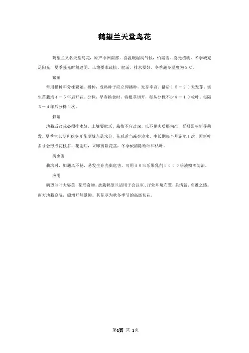 鹤望兰天堂鸟花