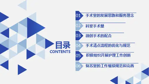 医院手术室工作总结述职报告动态ppt模板