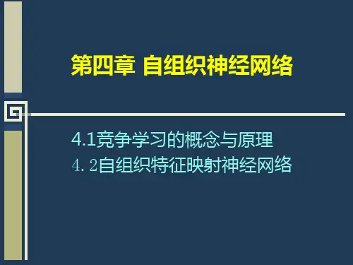 《自组织神经网络》PPT课件