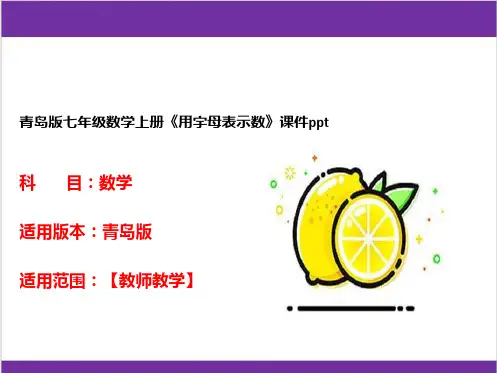 青岛版七年级数学上册《用字母表示数》课件ppt