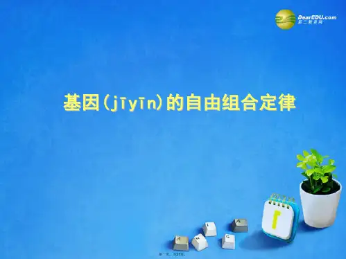 高中生物 第一章 第2节 自由组合定律课件 浙科版必修2
