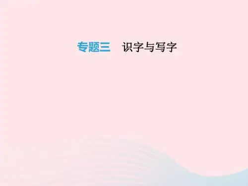 2019年中考语文总复习：积累与运用专题训练ppt课件(19套)正式版