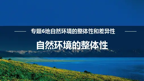 专题6自然环境的整体性和差异性 自然环境整体性 -备战高考一轮复习课件