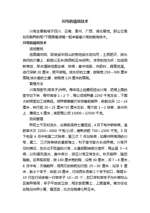 川芎的栽培技术