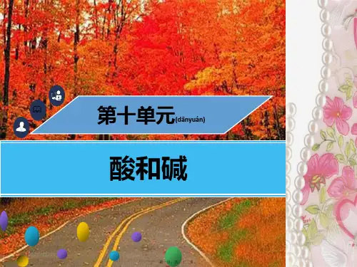 九年级化学下册第十单元酸和碱课题1常见的酸和碱酸碱指示剂