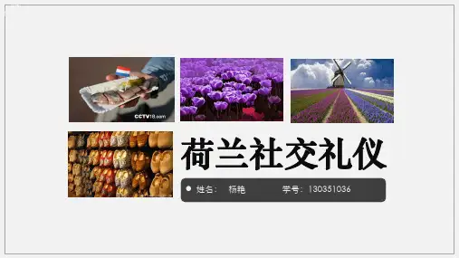 荷兰礼仪风俗