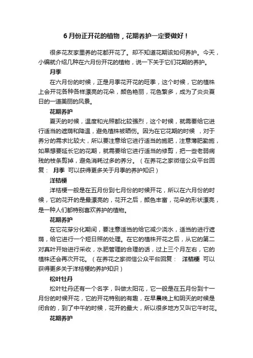 6月份正开花的植物，花期养护一定要做好！