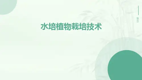 水培植物栽培技术