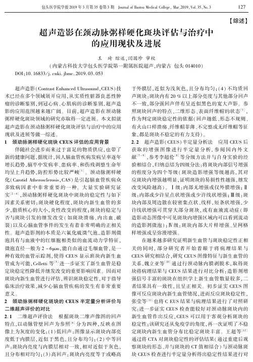 超声造影在颈动脉粥样硬化斑块评估与治疗中的应用现状及进展