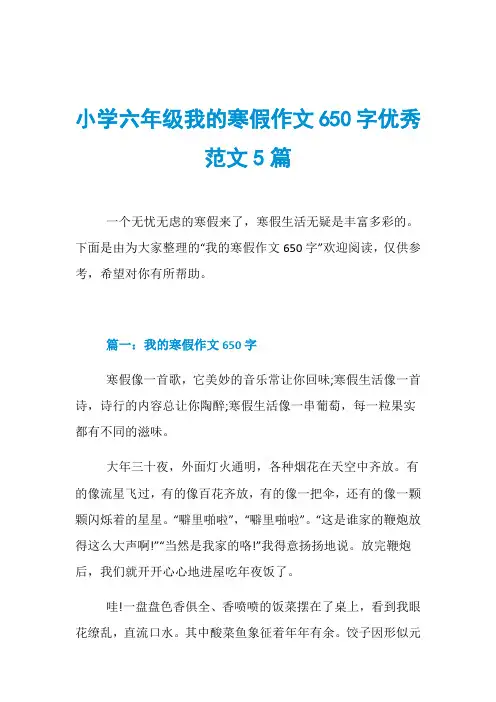 小学六年级我的寒假作文650字优秀范文5篇
