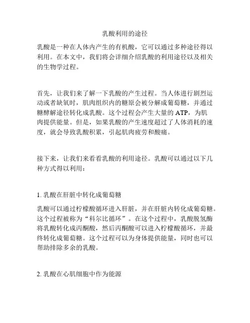 乳酸利用的途径