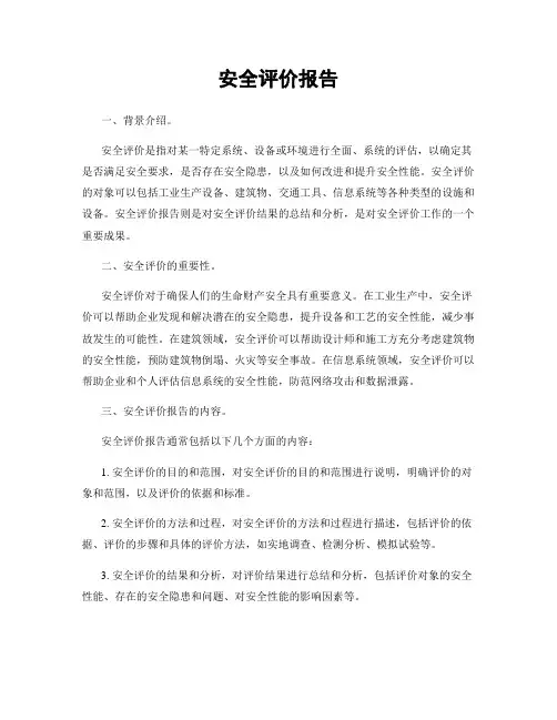 安全评价报告
