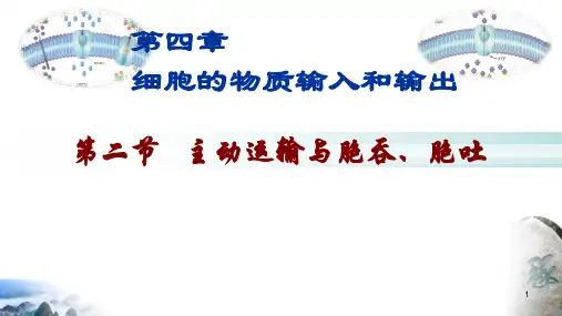 高中生物 人教版必修1第4章 细胞的物质输入和输出 第2节 主动运输与胞吞、胞吐 课件