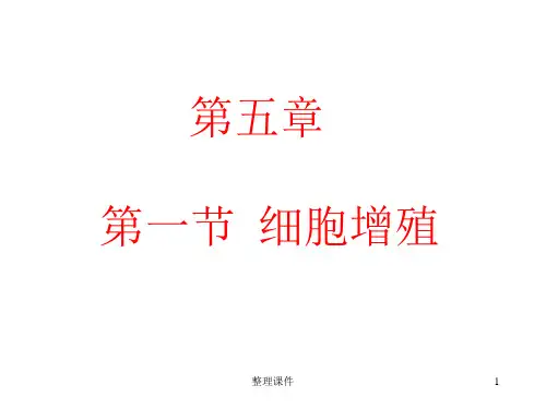 高中生物必修一有丝分裂习题