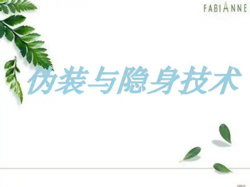 伪装与隐身.
