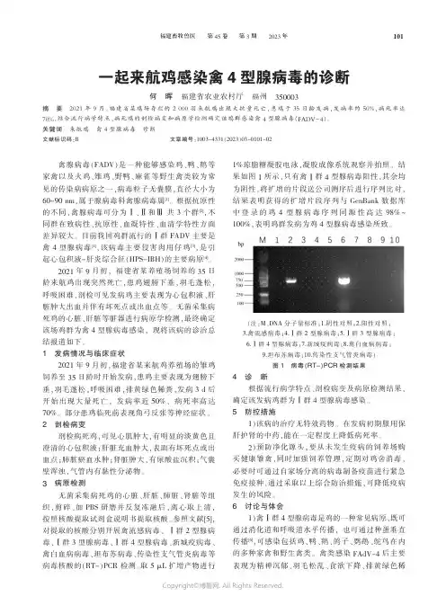 一起来航鸡感染禽4_型腺病毒的诊断