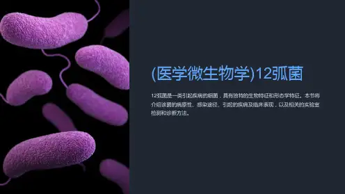 (医学微生物学)12弧菌