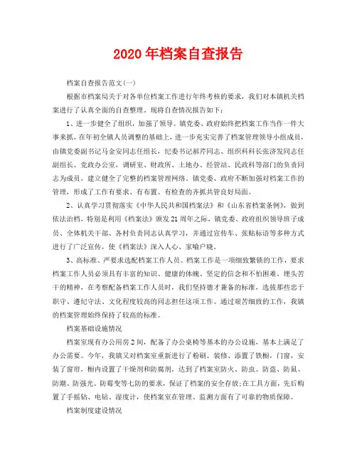 2020年档案自查报告